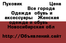 Пуховик Calvin Klein › Цена ­ 11 500 - Все города Одежда, обувь и аксессуары » Женская одежда и обувь   . Новосибирская обл.